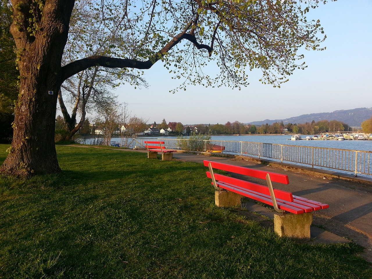 是這場比賽 是這場比賽