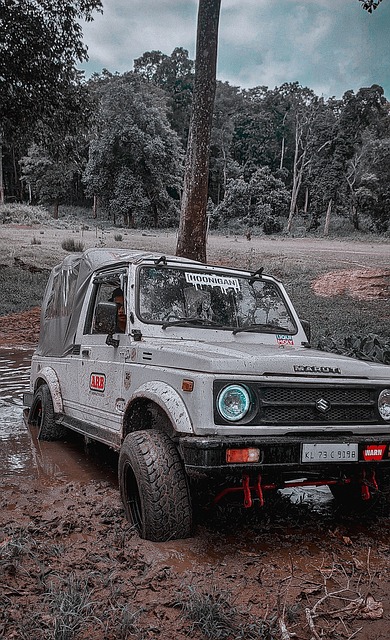 湖人将围绕 湖人将围绕