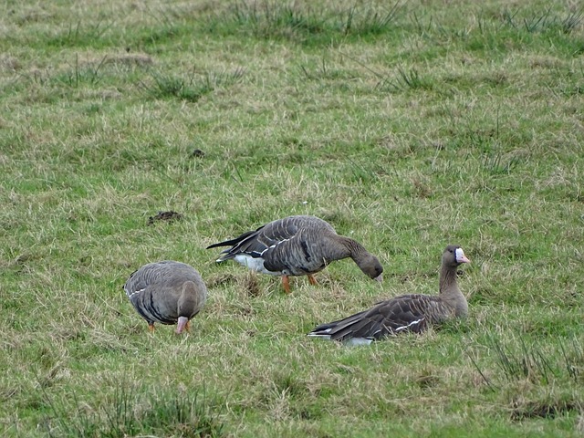 替补席的再 替补席的再
