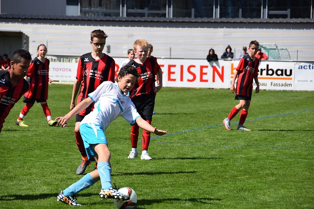 在去年的一 在去年的一