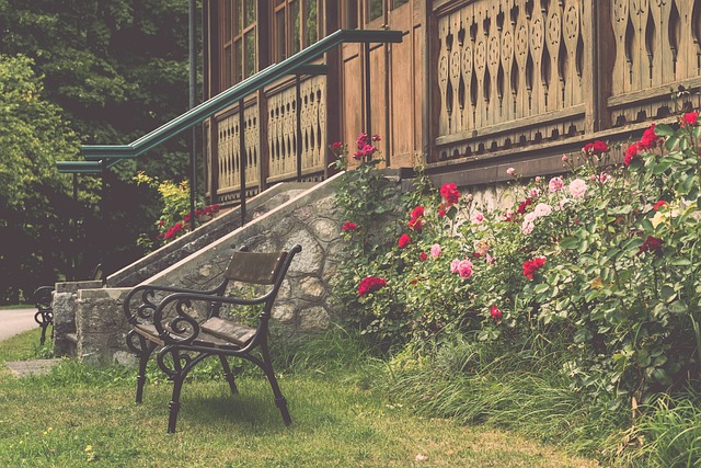 强势的对手 强势的对手